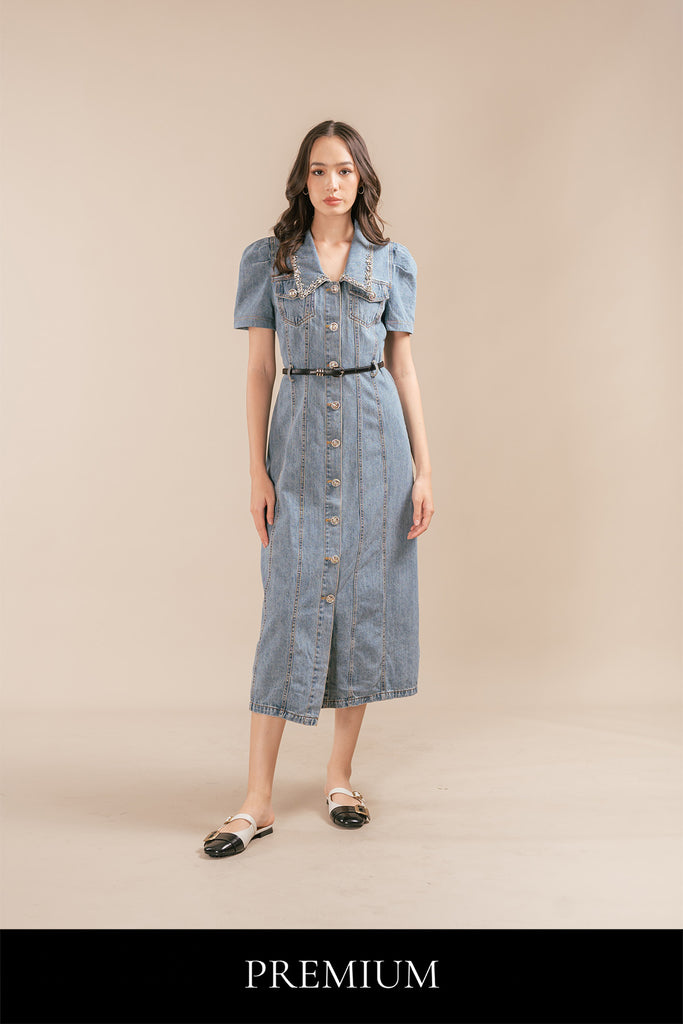 Tenollea Diamond Embellished Denim Maxi Skirt Dress